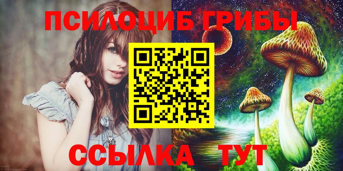 Учалы  Галлюциногенные грибы Psilocybine cubensis  Вход с VPN 